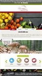Mobile Screenshot of ciboitaliano.com